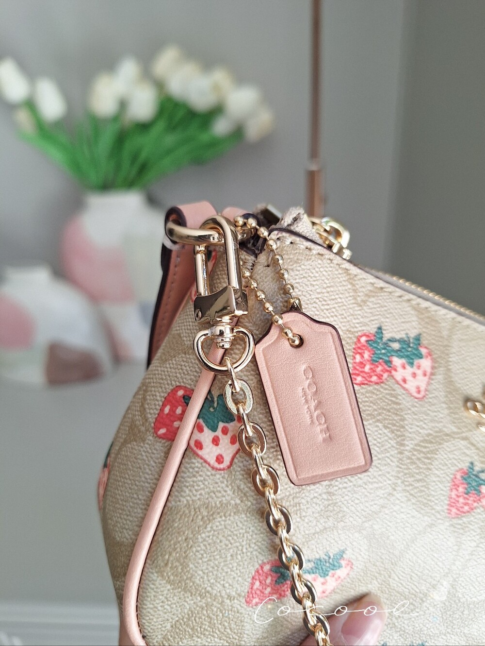 NWT Coach Nolita 19 In Signature With Strawberry Print CB603 - Picture 6 of 11